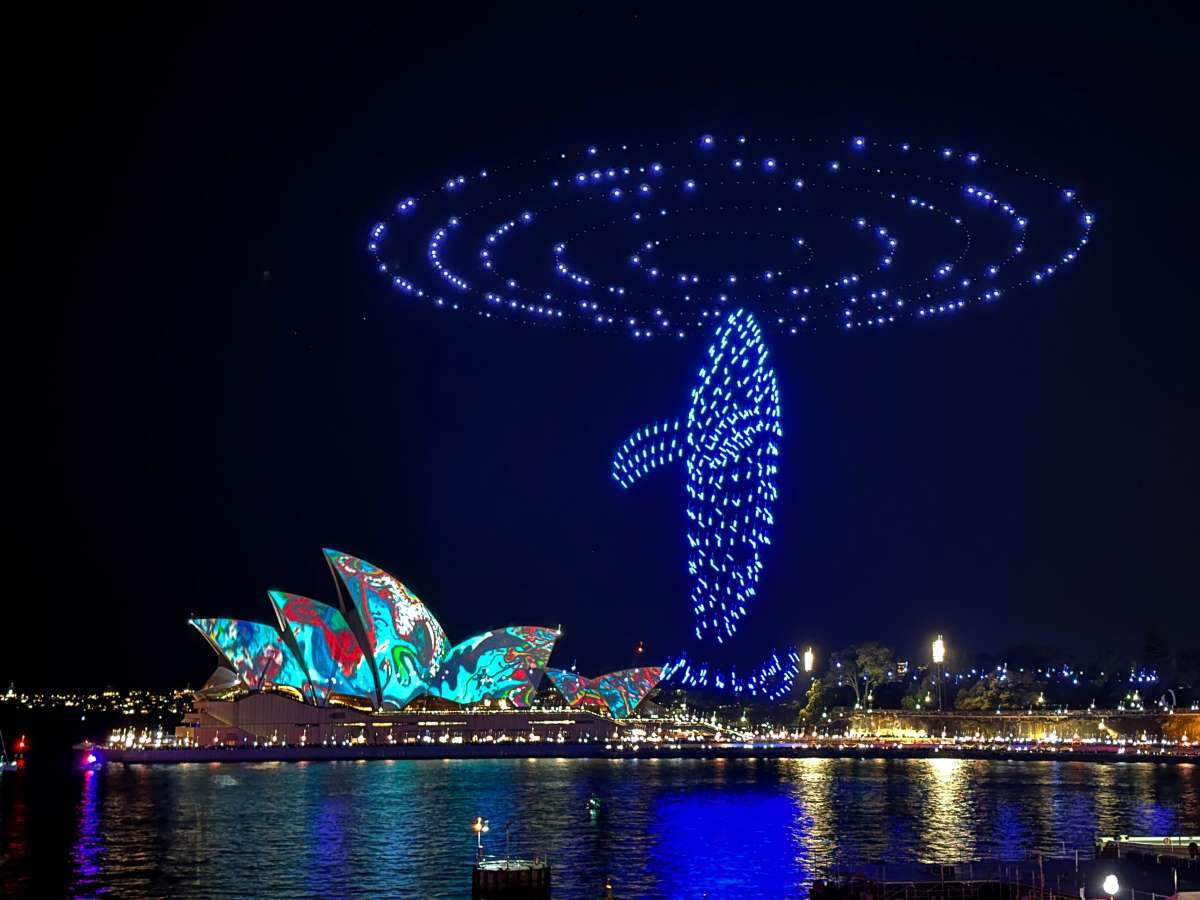 Drone show highlight whale emerging from the water
