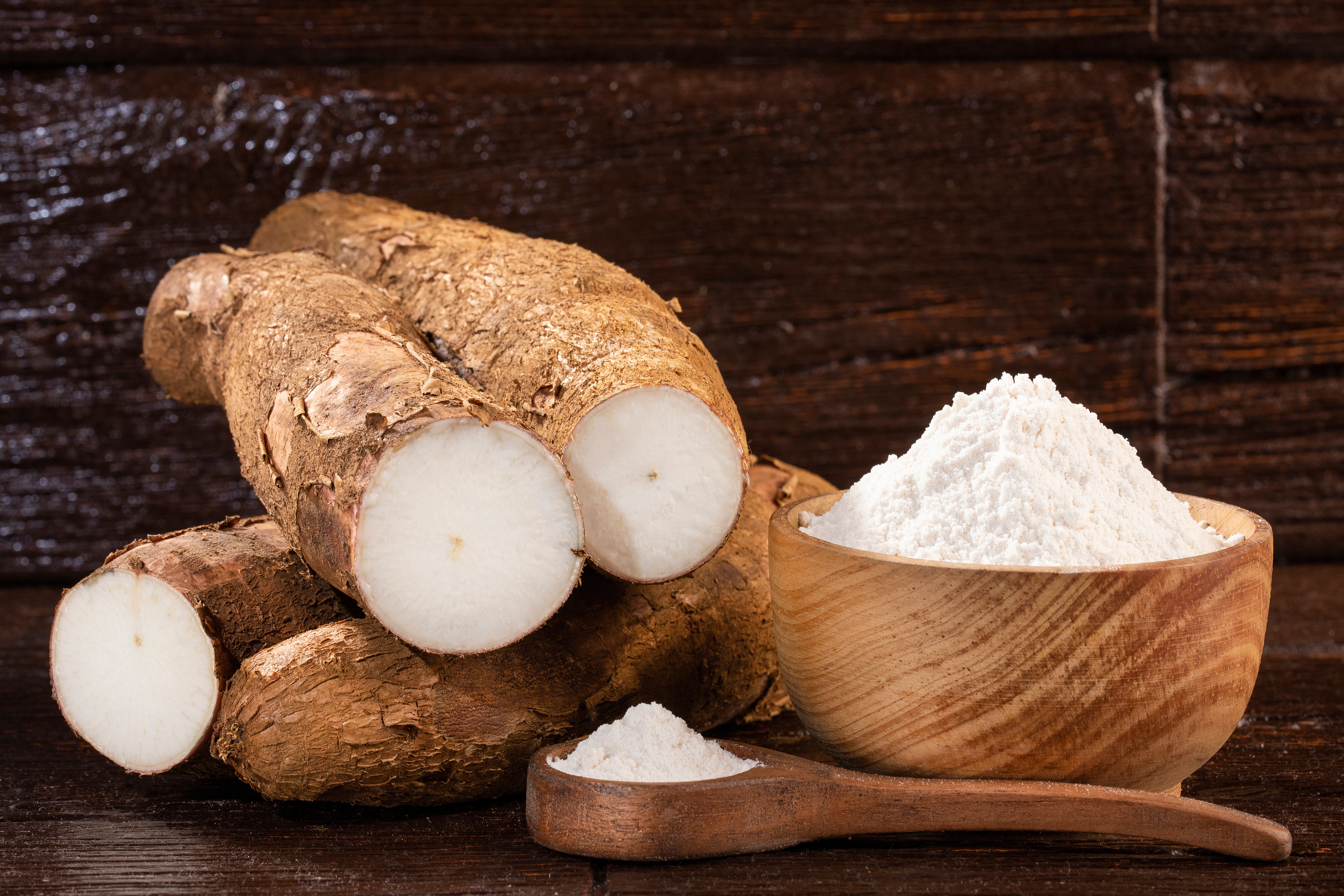 Cassava root, tapioca starch, and cassava flour