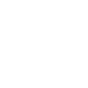 silhouette of a cow