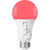LED A19 8W 6CCT MULTI COLOR - 120V 800LM 5000K SWITCH BULB - PLT-12648