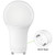LED A19 5W GU24 5000K CRI90 - FROSTED 450LM DIM T24/T20 - PLT-13571