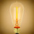 Antique 40W 120V ST58 E26 - squirrel cage 205 lumen - PLT-40003