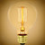 Antique 40W 120V G80 E26 - squirrel cage 222 lumen - PLT-40010