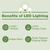 LED 2FT 175W EQ HIGHBAY 5K EM - 8840 LUMENS - PLT-90411