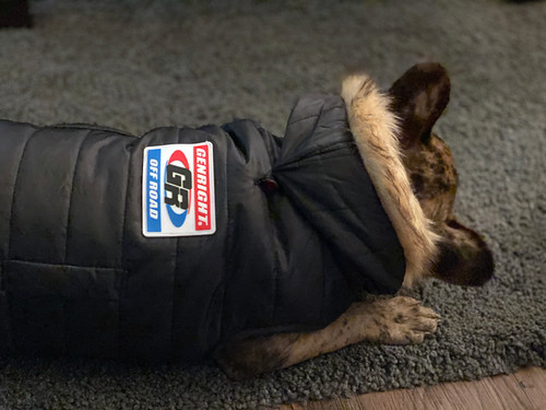 Shown here on a dog jacket Shown here on a dog jacket