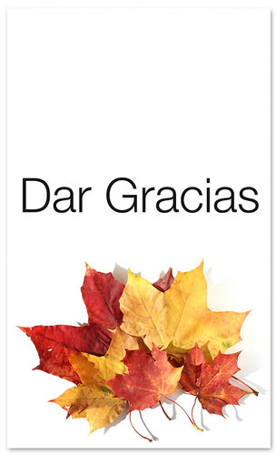 Fall Harvest Spanish church banner - Dar Gracias
