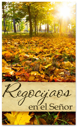 Regocijaos en el Senor - Spanish church banner for fall harvest