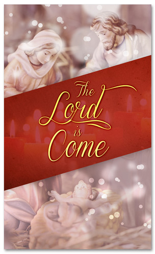 3x5 Nativity scene Christmas church banner - The Lord has Come