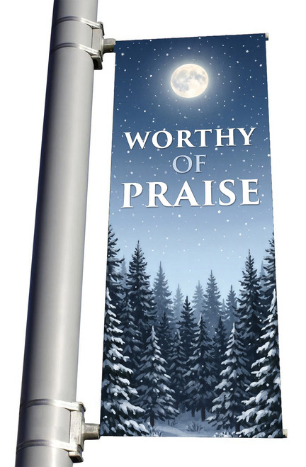 Worthy of Praise Winter Light Pole Banner
