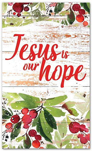 Jesus is Our Hope xw banner