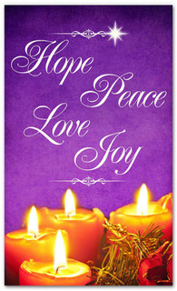 3x5-P-NXM257-ALL-web-2__09353.