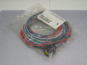 Allen-Bradley 888N-F12AE1-9F Series B Receptacle 12 Pin Mini Female ST 18AWG 9 Ft North American Color Code For Sale