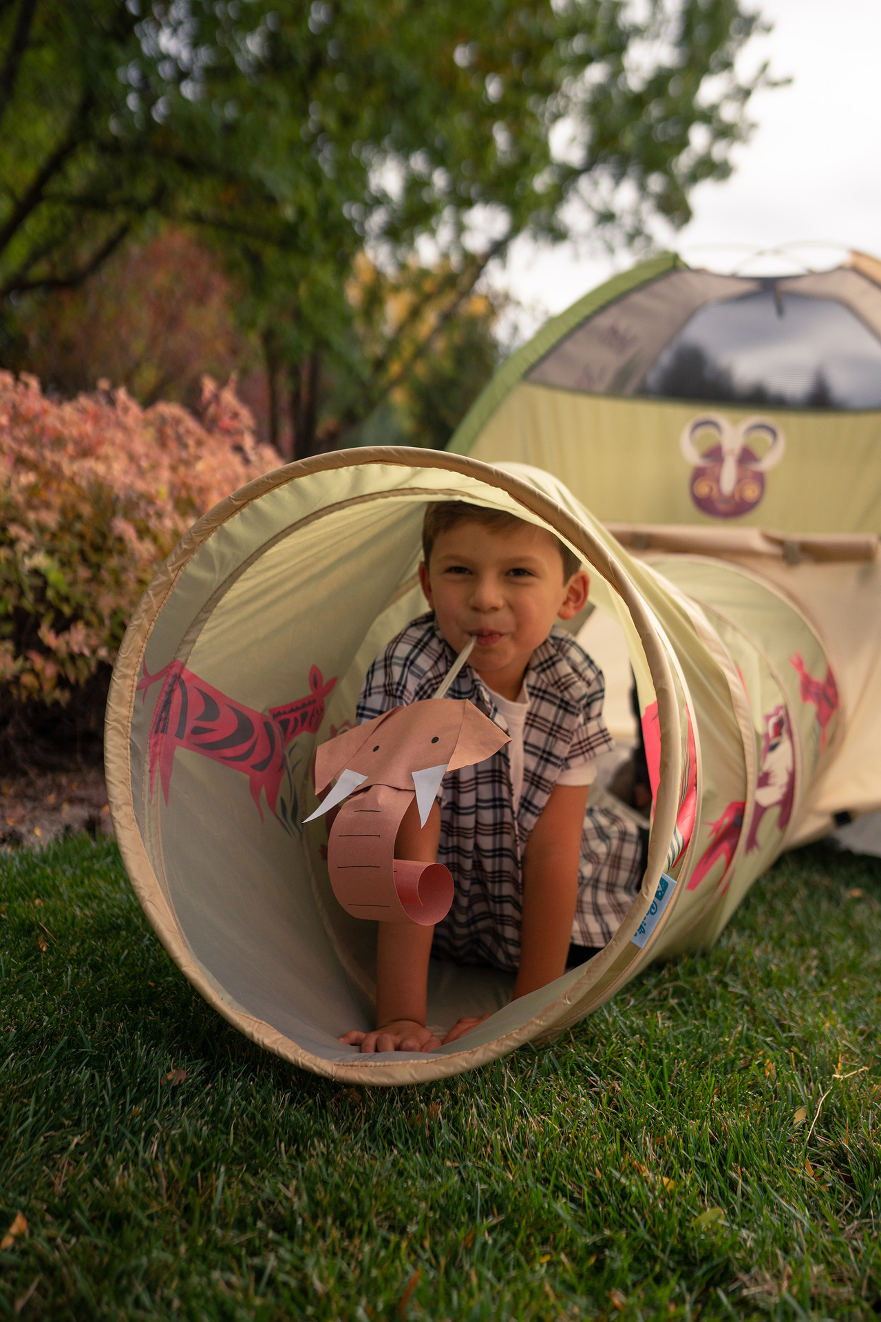 Jungle Safari Tent + Tunnel Play Combo Pacific Play Tents