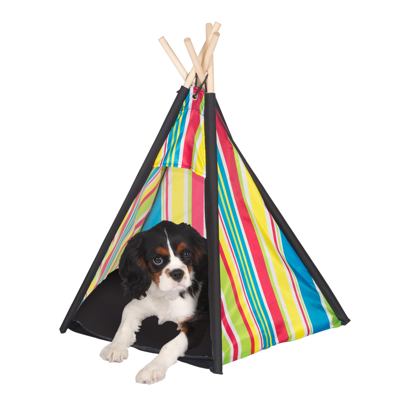 pet teepee tent