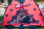 Ladybug Tent + Tunnel Play Combo