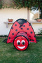 Ladybug Tent + Tunnel Play Combo