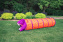 Orange/Purple 6’ Institutional Tunnel