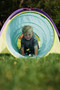 Neon Hide-Me Tent + Tunnel Play Combo