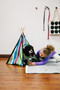 Cozy Pet Teepee