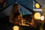 Firefly Glow n’ the Dark Bed Tent