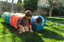 Find Me 6FT Tunnel - Blue / Green / Red / Yellow