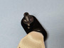 BMW 2020-2023 Bmw X6 Rear Right SeatBelt Retractor Ivory White Oem 