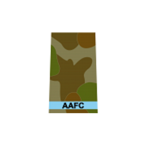 AAFC Cadet (CDT) Disruptive Pattern Uniform Rank Slide Pair