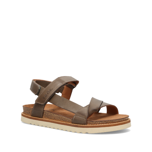 Women's Sideways - Olive