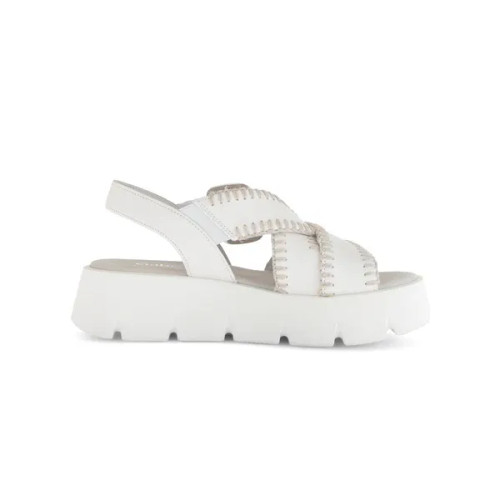 Women's 64-751 - Latte (Uni)