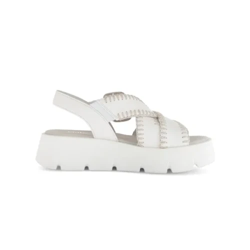 Women's 64-751 - Latte (Uni)