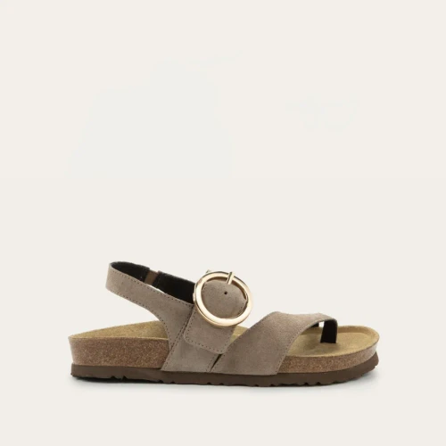 Women's Baltimore - Almond Suede