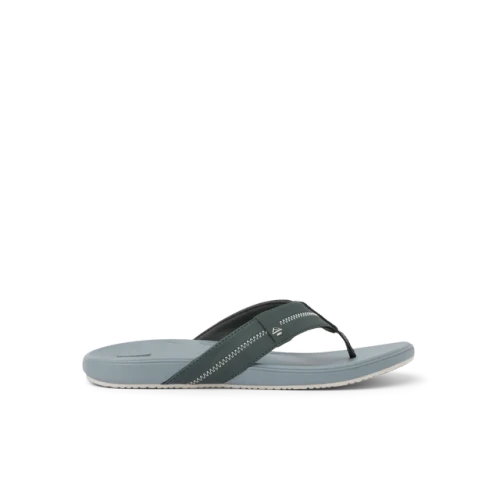 Men's Cushion Phantom 2.0 - Ash/Grey