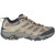 Men's Moab 3 - Walnut