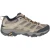 Men's Moab 3 - Walnut