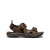 Men's Targhee III Open Toe Sandal - BISON