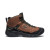 Men's Targhee IV Mid WP - Bison/Black