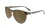 Mai Tais - Glossy Tortoise Shell / Amber