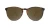 Mai Tais - Glossy Tortoise Shell / Amber
