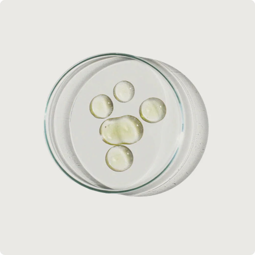 Lauric Acid