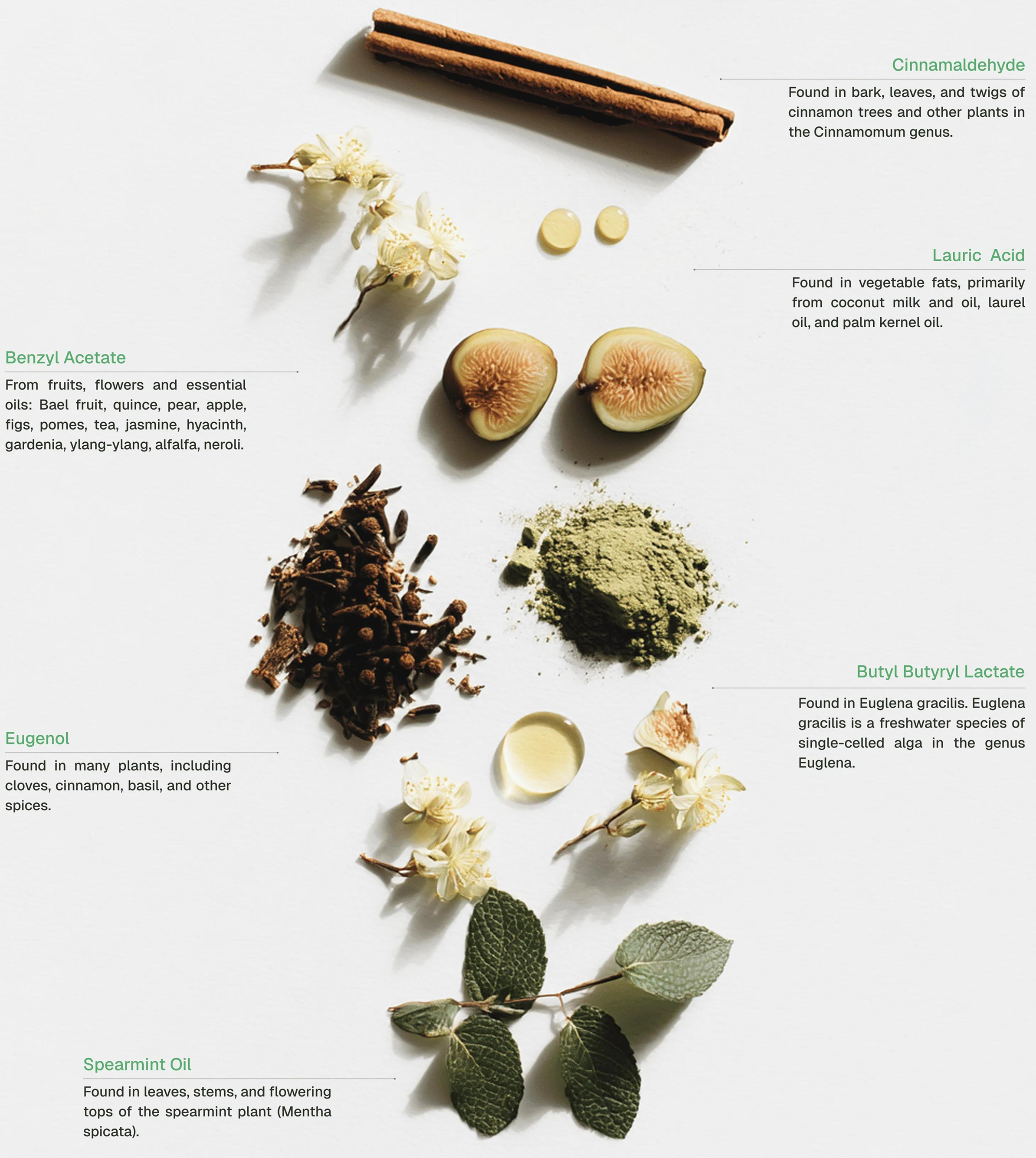 Natural ingredients: cinnamon, figs, herbs, and mint
