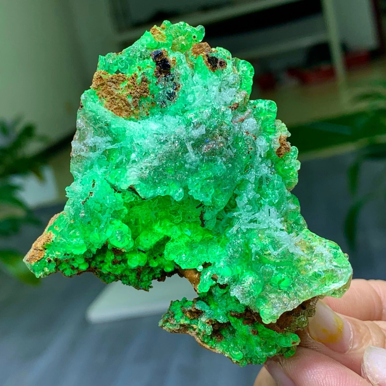 Hyalite Opal