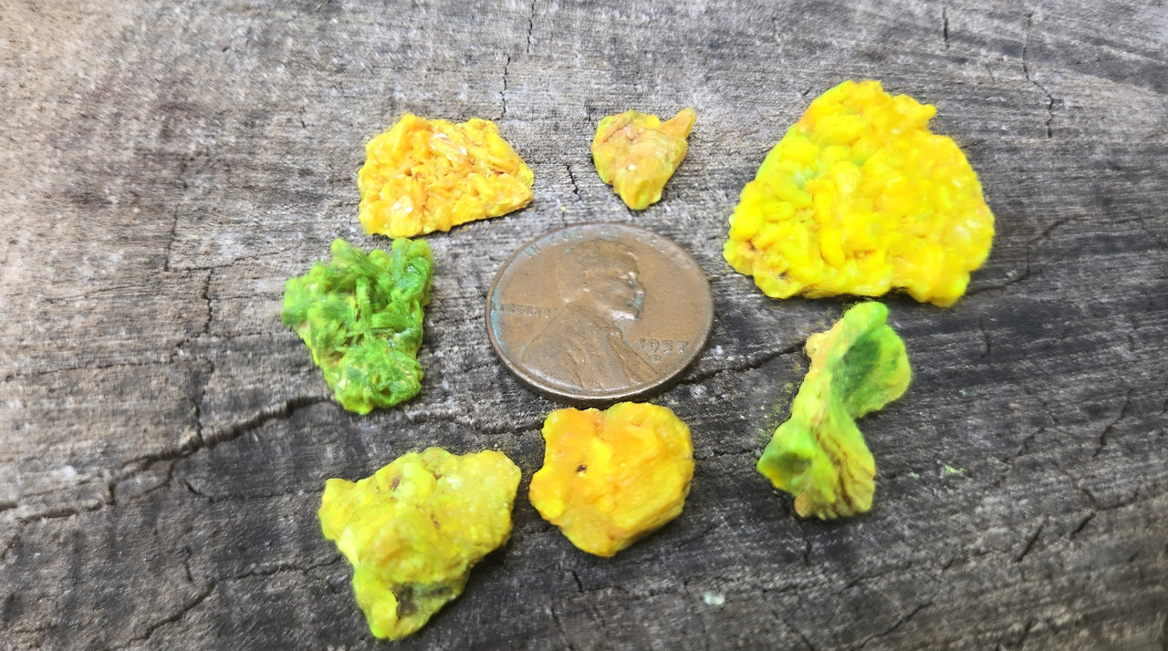 7 Piece Autunite Lot ~ Fluorescent Uranium Ore