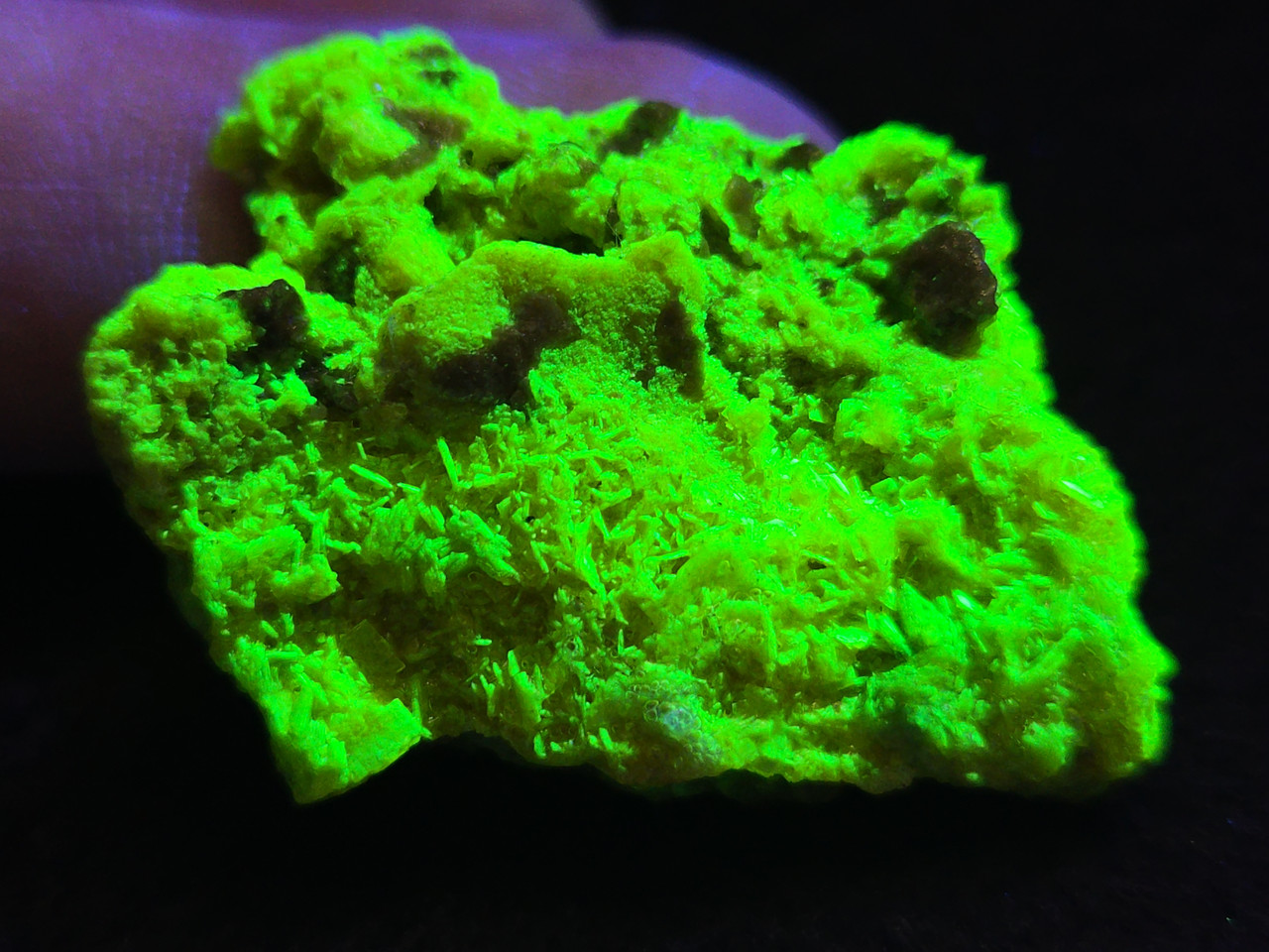 ① uranium7　806045 Autunite / Meta-Autunite Crystal Formation - Fluorescent Uranium