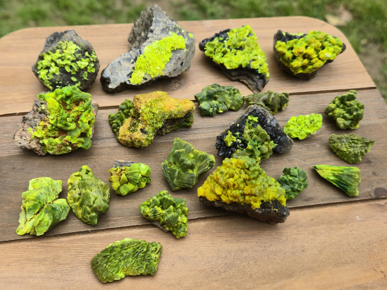 Autunite