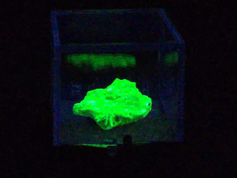 Autunite Crystal Formation in perky box under 365nm UV light
