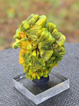 20 Gram Lamellar Autunite crystal formation on display under outdoor light