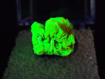 2.7 Gram Autunite Crystal Formation in Perky Box under 365nm UV light
