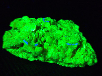 11 Gram Meta-Autunite Crystal Formation under 356nm UV light