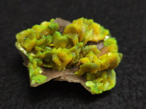 13.8 Gram Lamellar Autunite Crystal Formation under indoor light