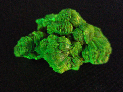Lamellar Autunite / Meta- Autunite Crystal  - Fluorescent Uranium Ore, 30 Grams